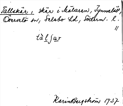 Bild på arkivkortet för arkivposten Tallskär