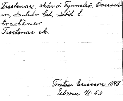 Bild på arkivkortet för arkivposten Trestenar