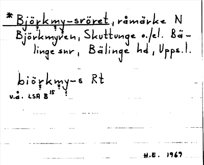 Bild på arkivkortet för arkivposten *Björkmy--sröret
