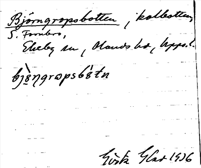 Bild på arkivkortet för arkivposten Björngropsbotten