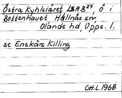 Bild på arkivkortet för arkivposten Östra Kyhlsiäret, se Enskärs Killing