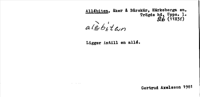 Bild på arkivkortet för arkivposten Allébiten