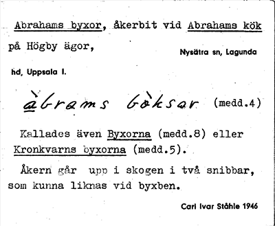Bild på arkivkortet för arkivposten Abrahams byxor