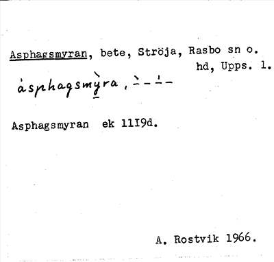 Bild på arkivkortet för arkivposten Asphagsmyran