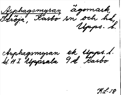 Bild på arkivkortet för arkivposten Asphagsmyran