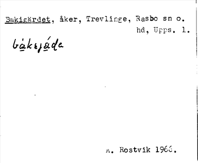 Bild på arkivkortet för arkivposten Bakigärdet