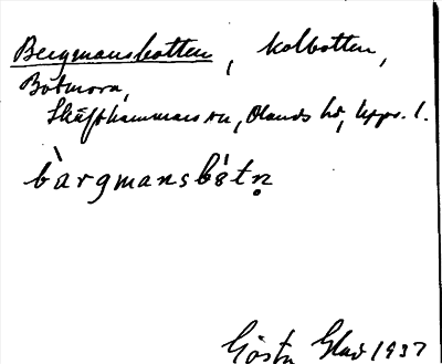 Bild på arkivkortet för arkivposten Bergmansbotten