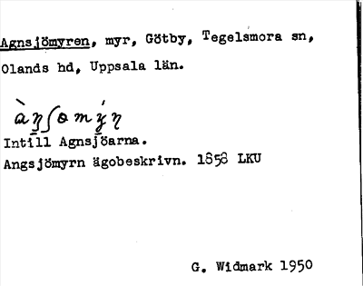 Bild på arkivkortet för arkivposten Agnsjömyren