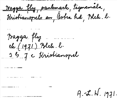 Bild på arkivkortet för arkivposten Bagga fly