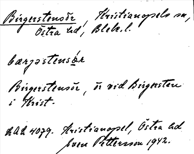 Bild på arkivkortet för arkivposten Birgerstensör