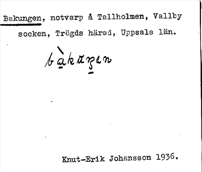 Bild på arkivkortet för arkivposten Bakungen
