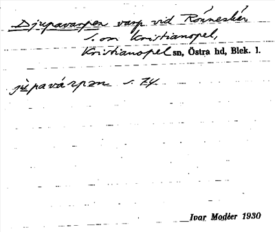 Bild på arkivkortet för arkivposten Djupavarpen