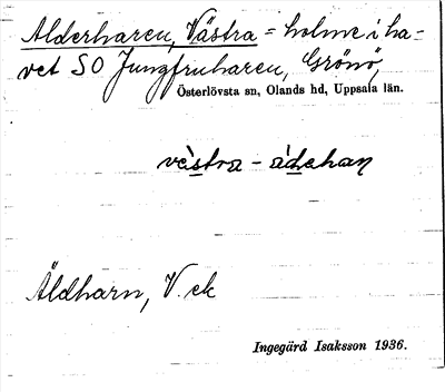 Bild på arkivkortet för arkivposten Alderharen, Västra