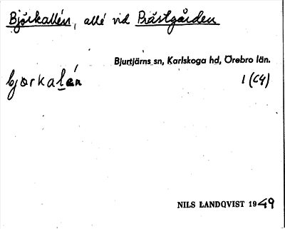 Bild på arkivkortet för arkivposten Björkallén