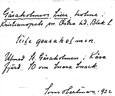 Bild på arkivkortet för arkivposten Gåsaholmen, Lille