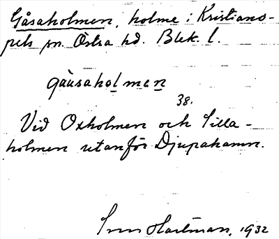 Bild på arkivkortet för arkivposten Gåsaholmen