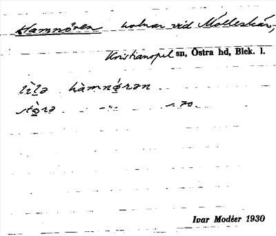 Bild på arkivkortet för arkivposten Hamnören