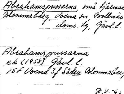 Bild på arkivkortet för arkivposten Abrahamspussarna
