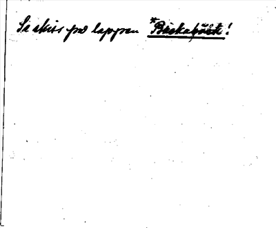 Bild på baksidan av arkivkortet för arkivposten *Bikagölet