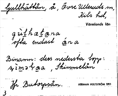 Bild på arkivkortet för arkivposten Gullhättån