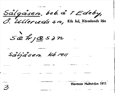 Bild på arkivkortet för arkivposten Sälgåsen