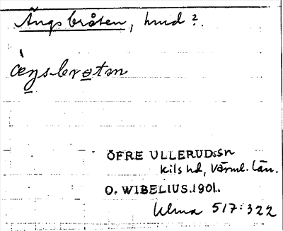 Bild på arkivkortet för arkivposten Ängsbråten