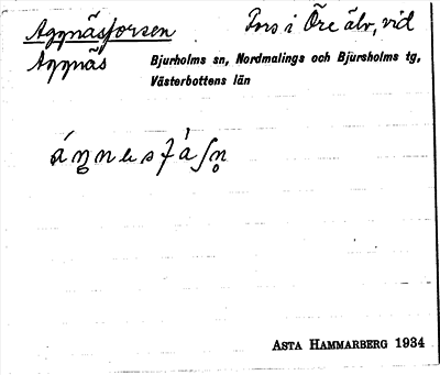Bild på arkivkortet för arkivposten Aggnäsforsen