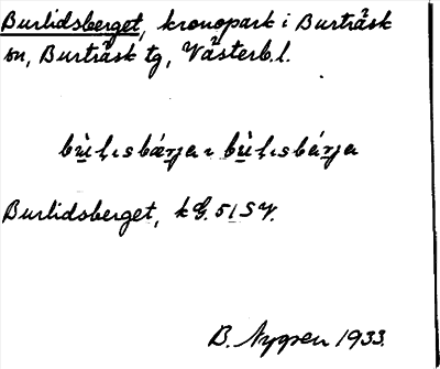 Bild på arkivkortet för arkivposten Burlidsberget