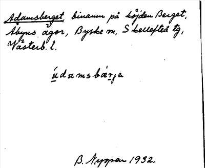 Bild på arkivkortet för arkivposten Adamsberget