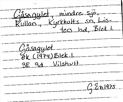 Bild på arkivkortet för arkivposten Gåsagylet