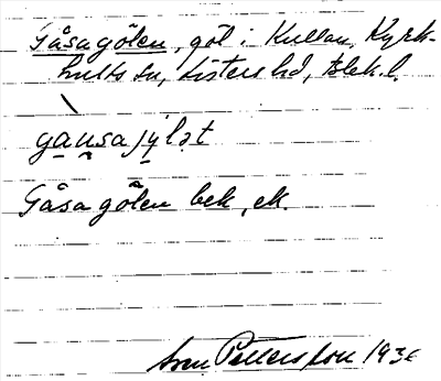 Bild på arkivkortet för arkivposten Gåsagölen