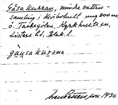 Bild på arkivkortet för arkivposten Gåsakurran