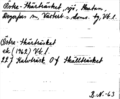 Bild på arkivkortet för arkivposten Östre-Skärträsket