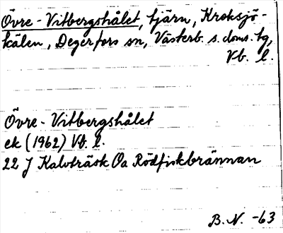 Bild på arkivkortet för arkivposten Övre-Vitbergshålet