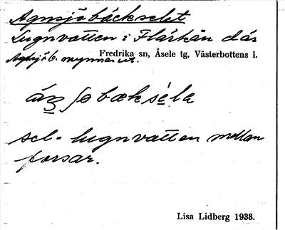 Bild på arkivkortet för arkivposten Agnsjöbäckselet