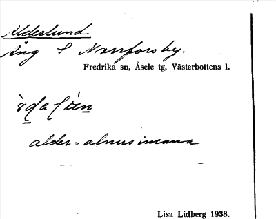 Bild på arkivkortet för arkivposten Alderlund
