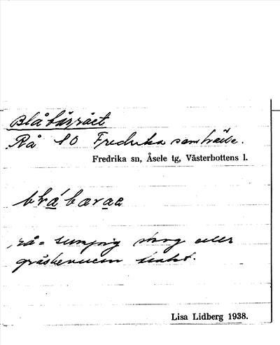 Bild på arkivkortet för arkivposten Blåbärrået