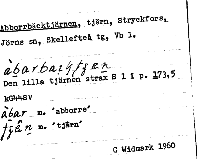 Bild på arkivkortet för arkivposten Abborrbäcktjärnen