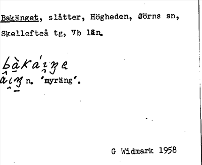 Bild på arkivkortet för arkivposten Bakänget
