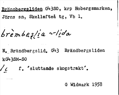 Bild på arkivkortet för arkivposten Brännbergsliden