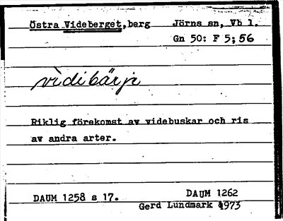 Bild på arkivkortet för arkivposten Östra Videberget