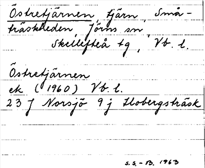 Bild på arkivkortet för arkivposten Östretjärnen