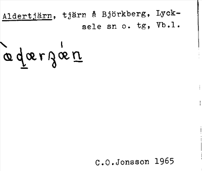 Bild på arkivkortet för arkivposten Aldertjärn