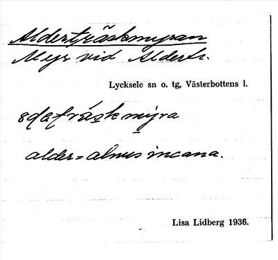 Bild på arkivkortet för arkivposten Alderträskmyran