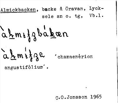 Bild på arkivkortet för arkivposten Almickbacken