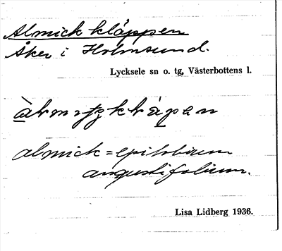 Bild på arkivkortet för arkivposten Almickkläppen