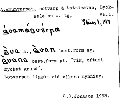 Bild på arkivkortet för arkivposten Avamunvarpet