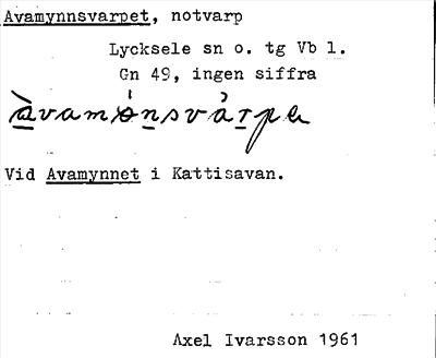 Bild på arkivkortet för arkivposten Avamynnsvarpet