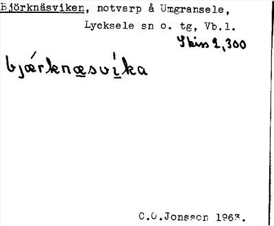 Bild på arkivkortet för arkivposten Björknäsviken