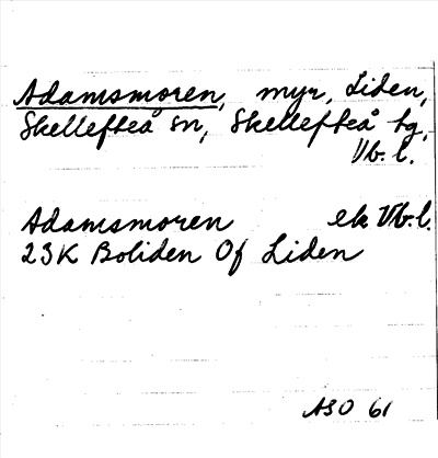 Bild på arkivkortet för arkivposten Adamsmoren